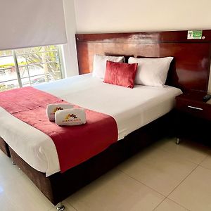 Suite Superior